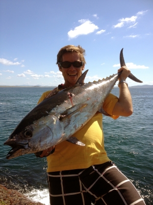 Longtail Tuna
