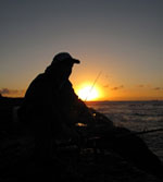 Ledge Care Catherine Hill Bay