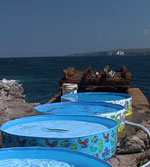 Ledge Care Jervis Bay